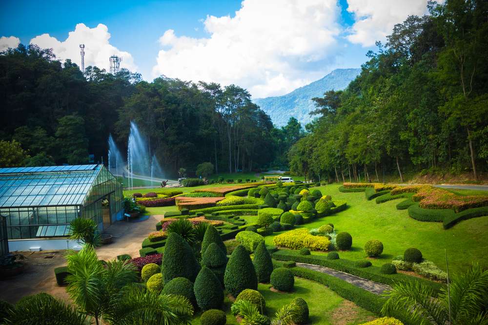 Meet Purity of Nature at Queen Sirikit Botanical Gardens