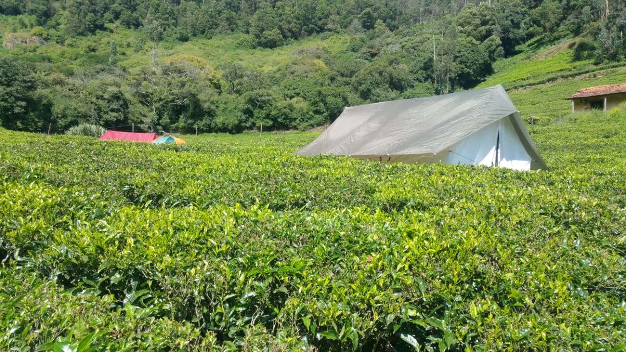 Camping by Tea Gardens Ooty - Flat 18% off