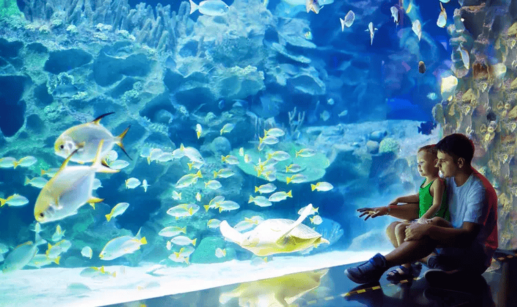 Phuket Aquarium