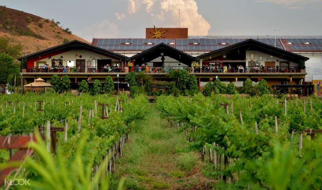 Sula Vineyard
