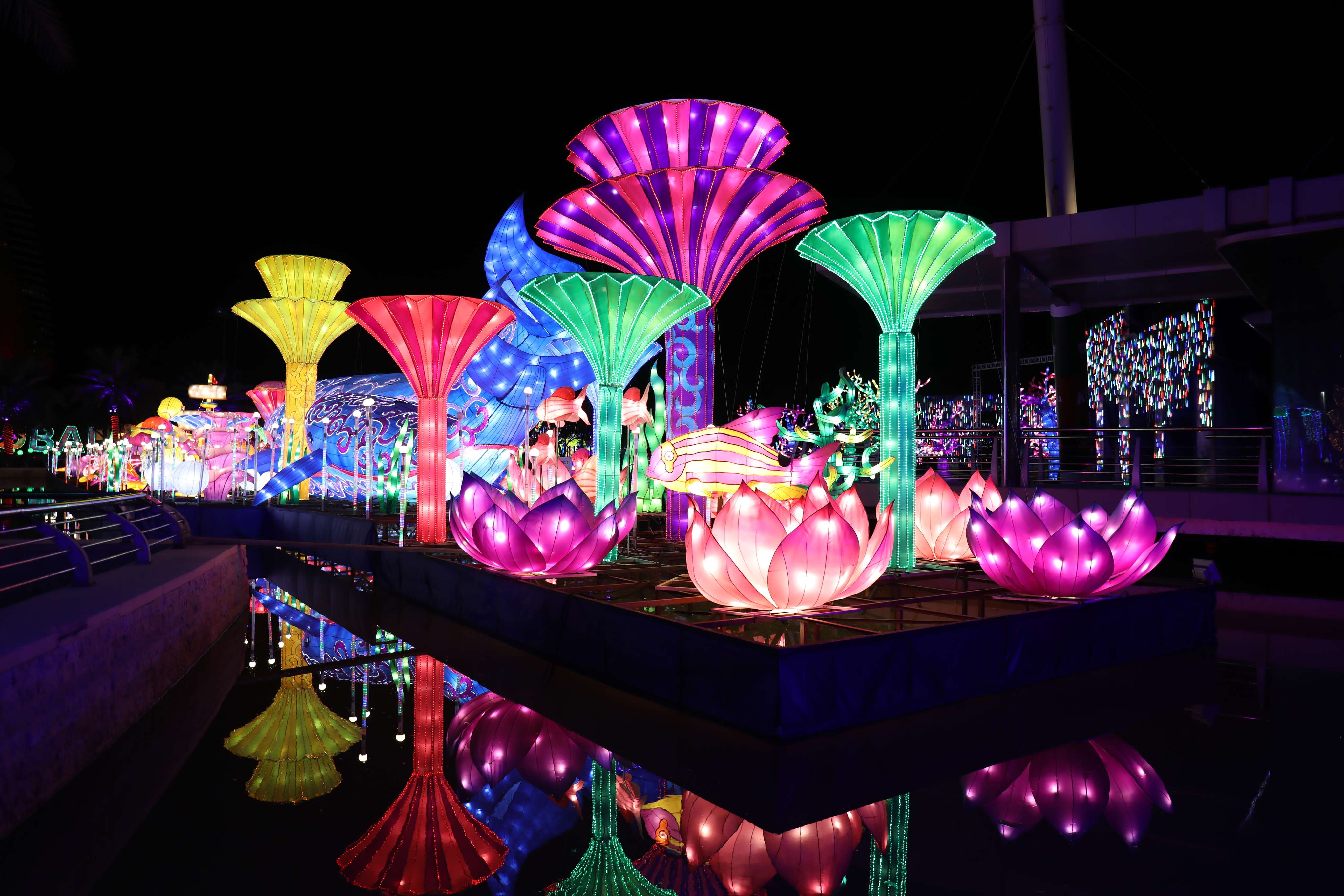 Dubai Garden Glow Tickets | Save 30% & Book Online
