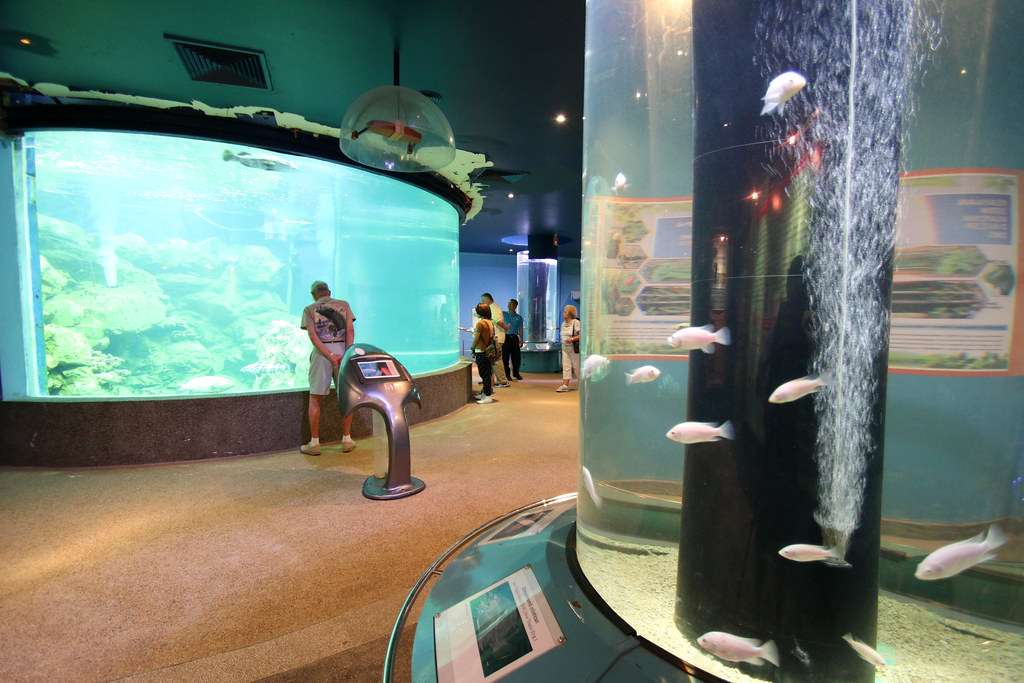 Marine Aquarium and Museum