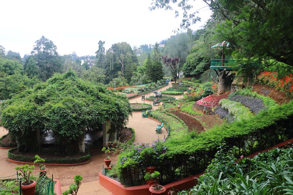 Ooty Botanical Garden