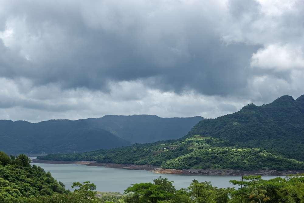 1557298325 shutterstock 1123979435