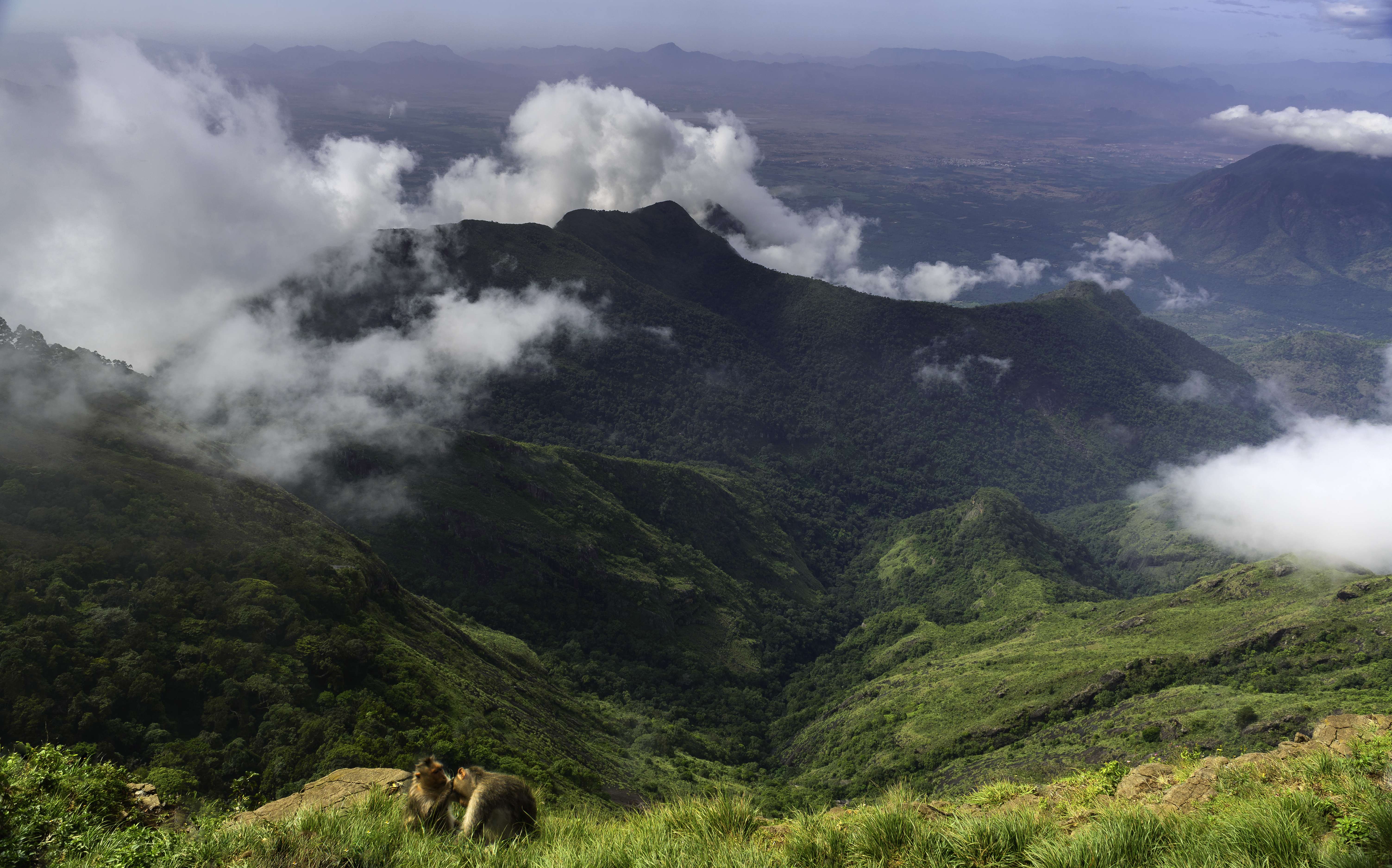 15 Best Places to Visit in Kodaikanal in 2 Days - {{year}} (Photos)