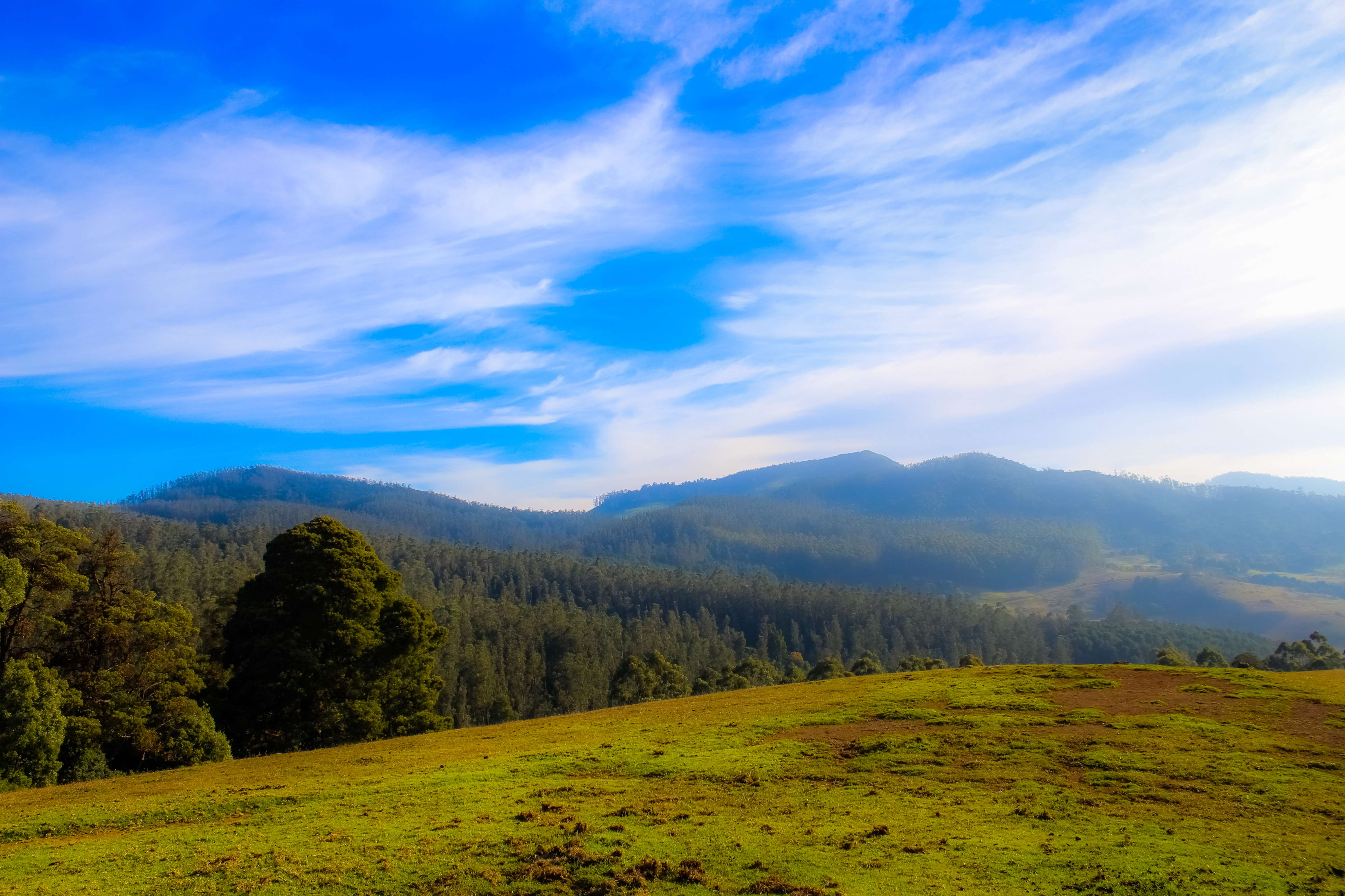 15 Places to Visit in Ooty in 2 Days- {{year}} (Updated List)