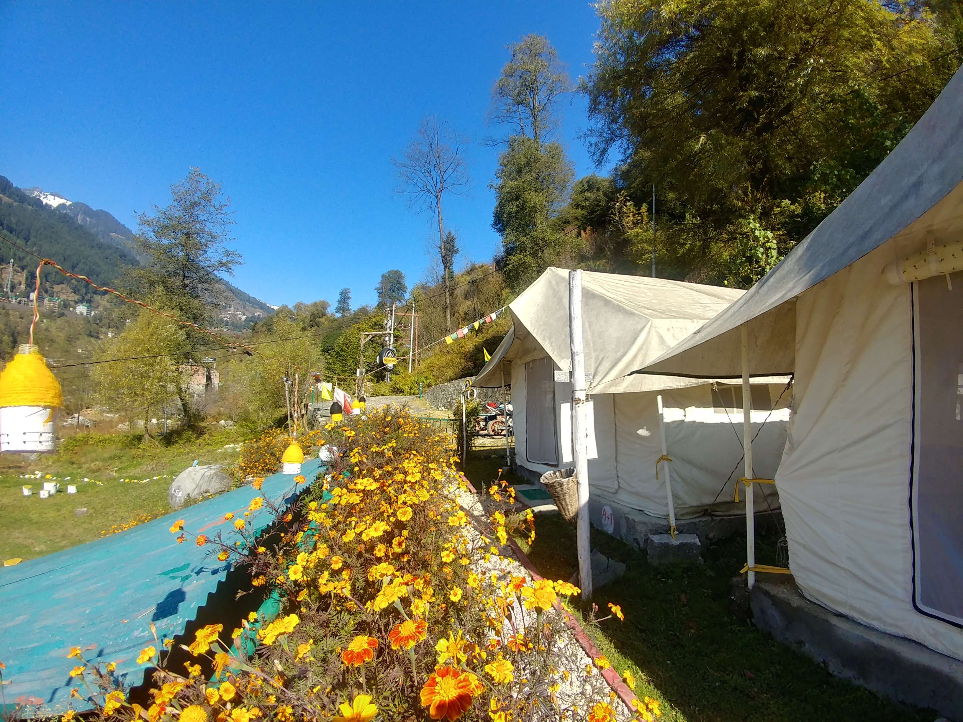 Camping with Rope Activities in Manali