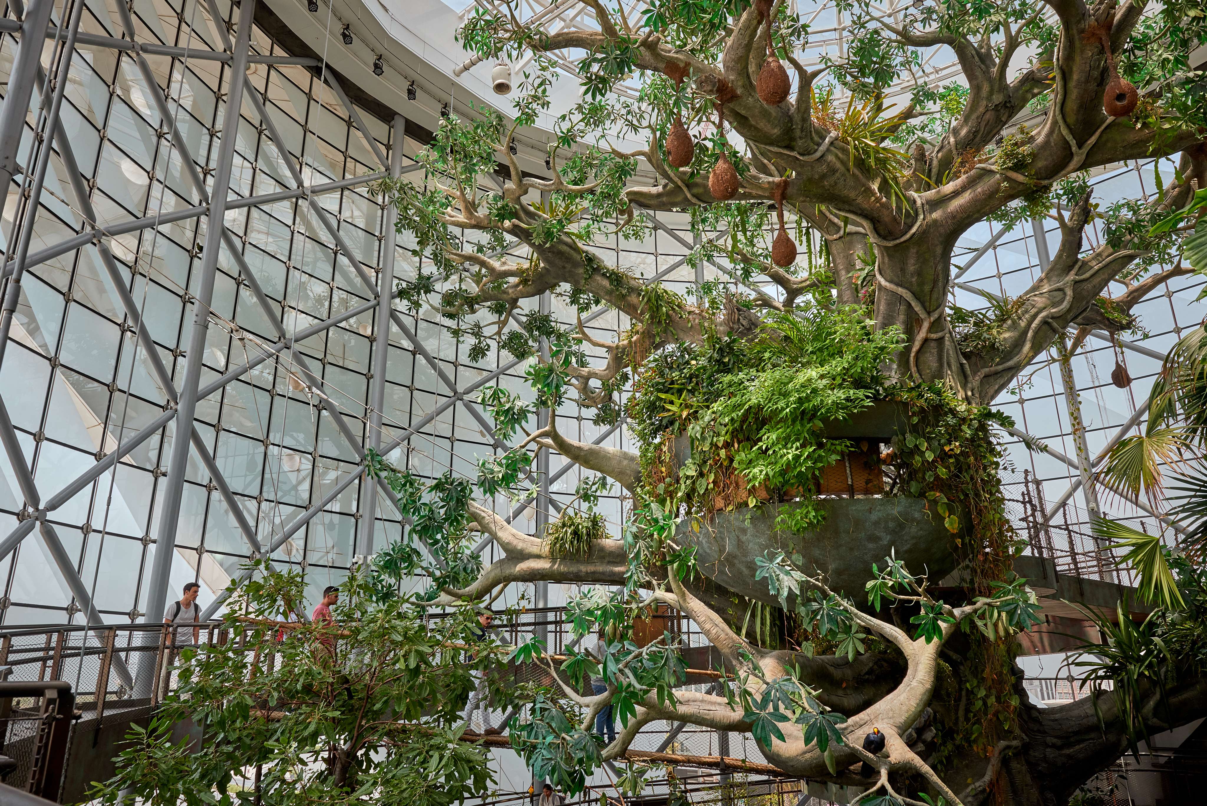 Hub Zero with Green Planet Dubai Flat 25% off