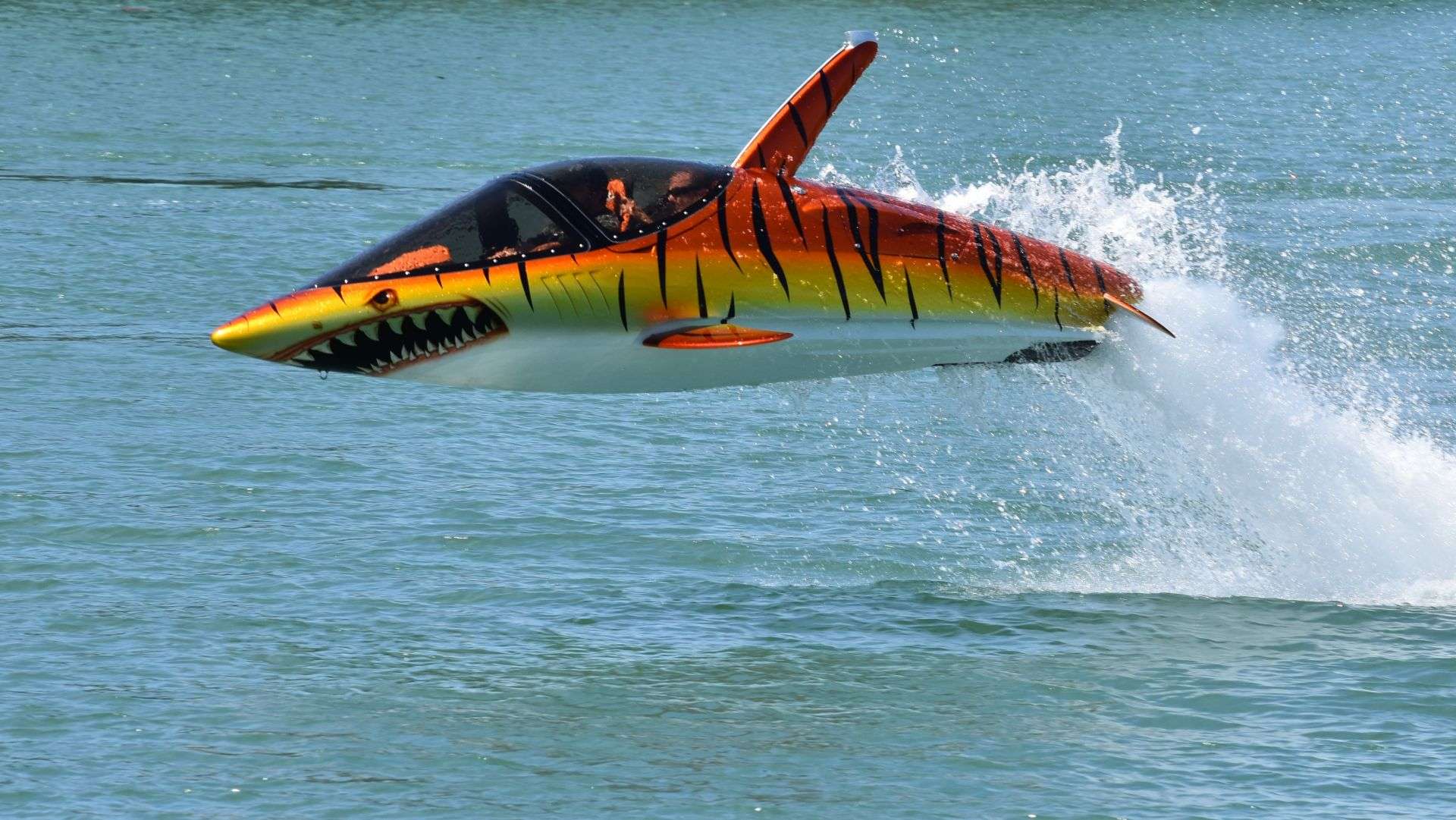 Sea Breacher Ride Dubai Flat 10% off