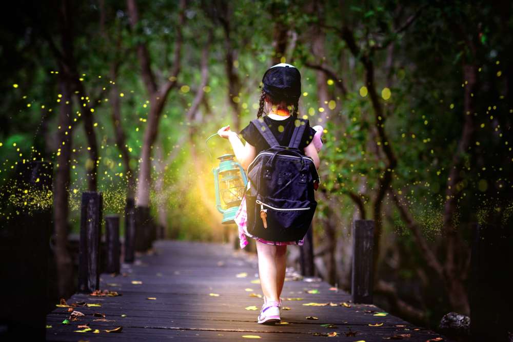 Kuala Lumpur Fireflies Tour Package | Book @ Flat 20% off