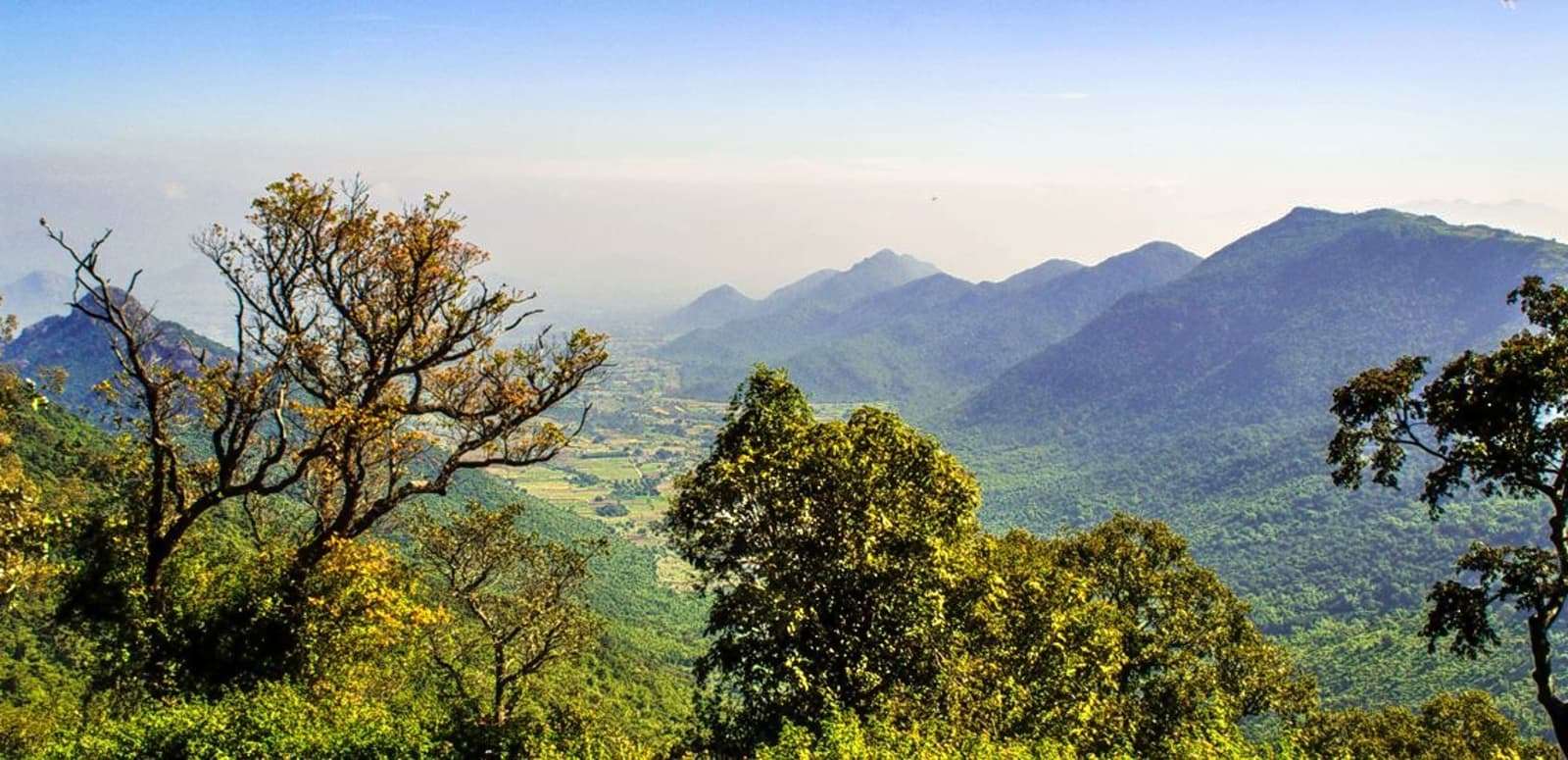 Yercaud (366 km from Chennai)