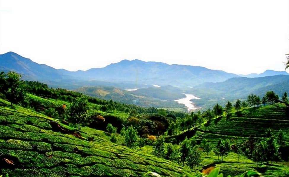 Munnar (583 km from Chennai)