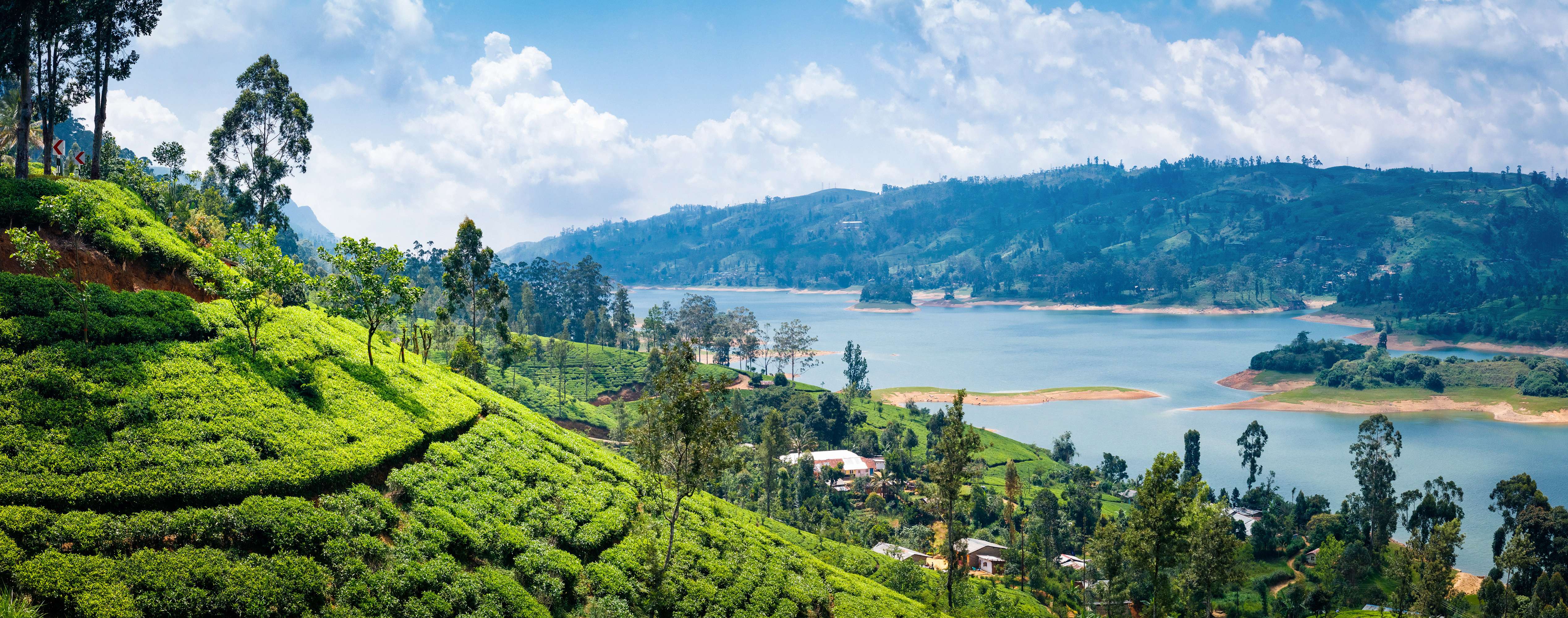 Trip to Nuwara Eliya | Book @ Flat 26% off