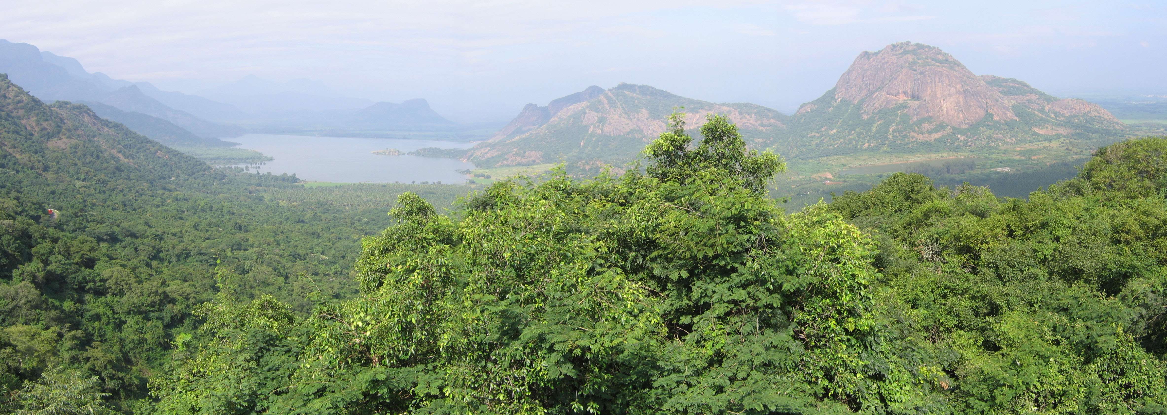 Palani Hills (465 km from Chennai)