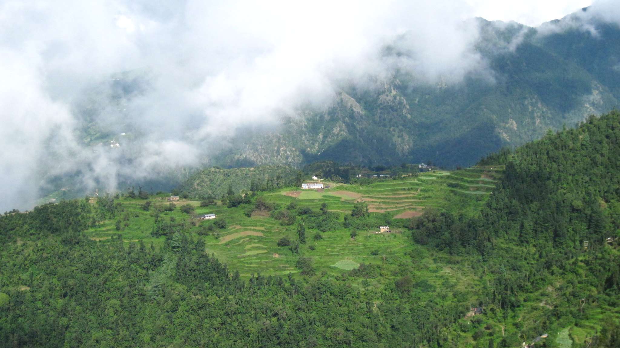 Dhanaulti