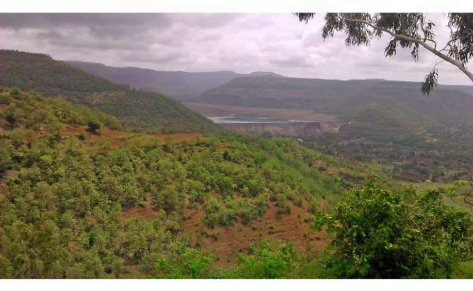 Bhimashankar Trail