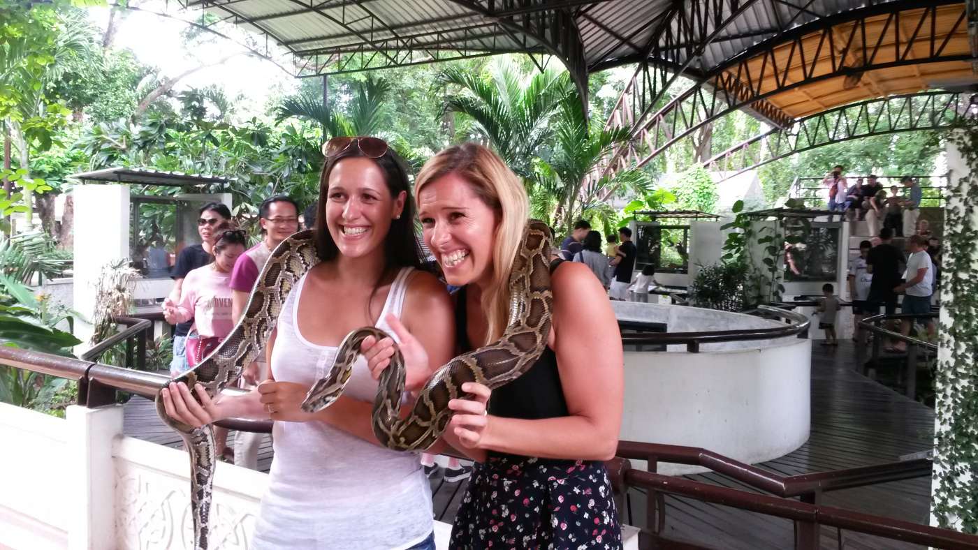 Get Clicked with Reptiles at Bangkok Snake Park Show