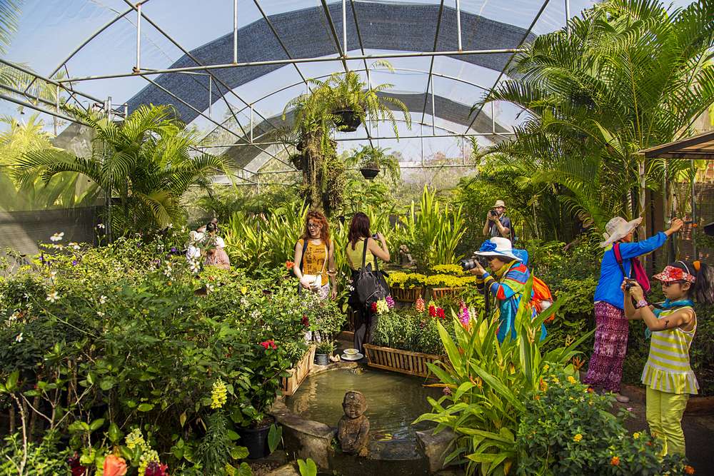 Visit the Serene Bai Orchid And Butterfly Farm to Experience Calm