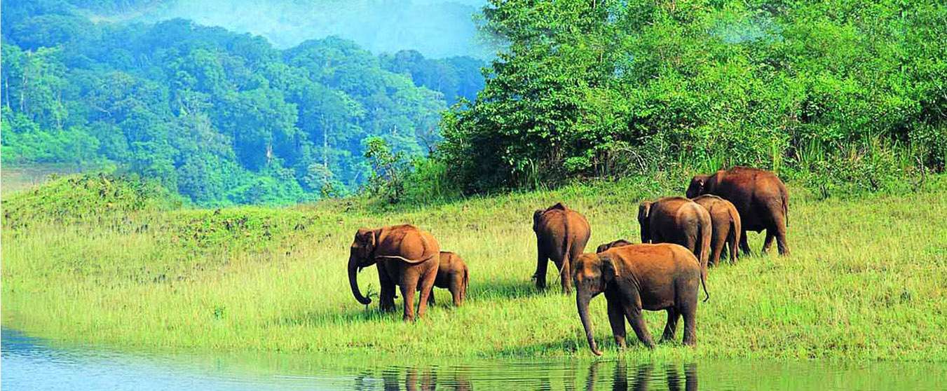 BRAHMAGIRI WILDLIFE SANCTUARY