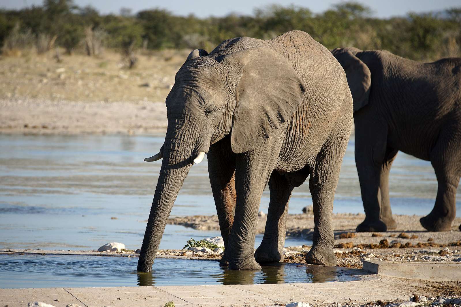 DUBARE ELEPHANT CAMP