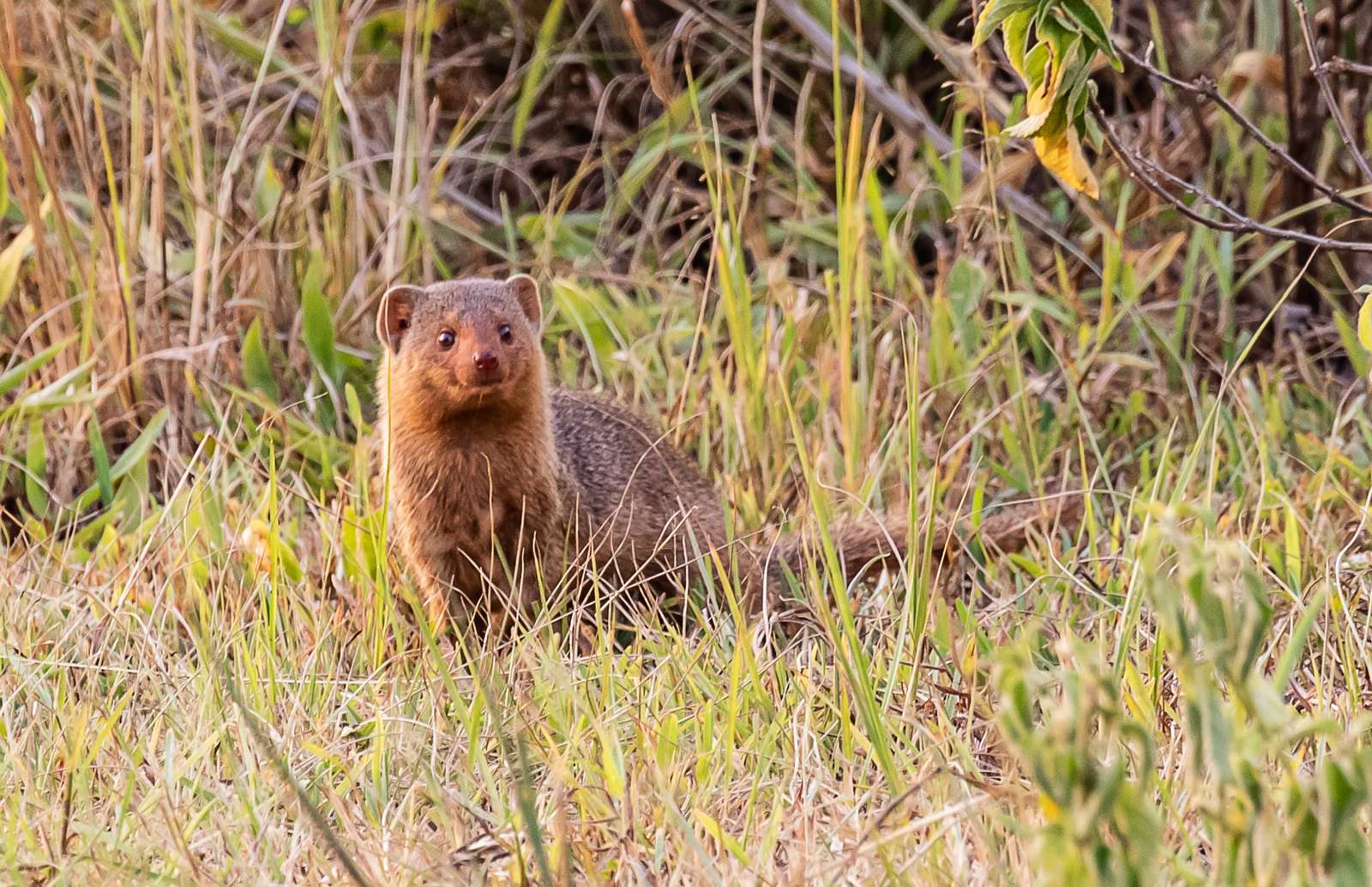 TALAKAVERI WILDLIFE SANCTUARY