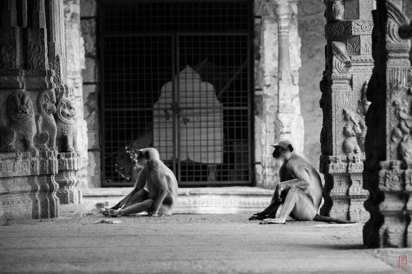 Monkey Temple, Hampi