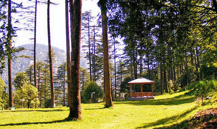 Dhanaulti