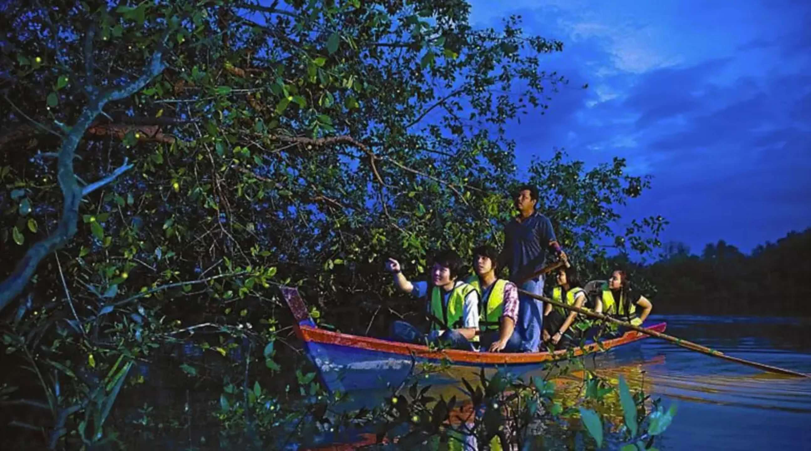Treat your Eyes with Fireflies Night Boat Ride on Selangor River