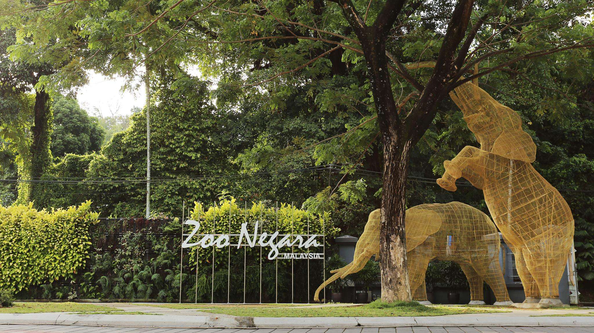 Explore the Wilderness at Negara Zoo Malaysia