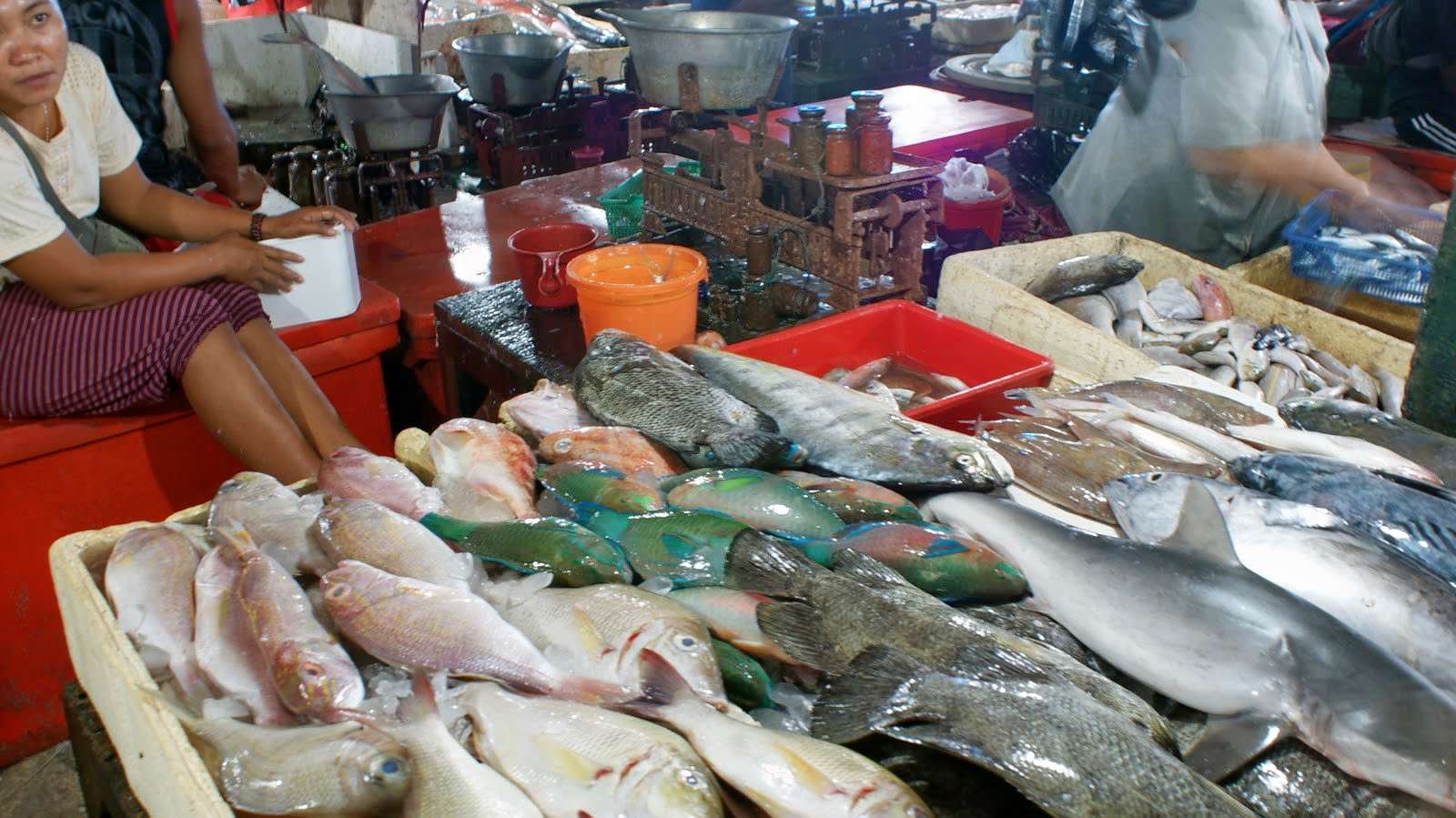 Be A Local at Kedonganan Fish Market