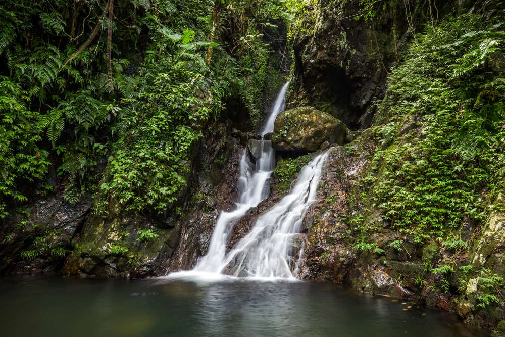 Tai Mo Shan Waterfalls  