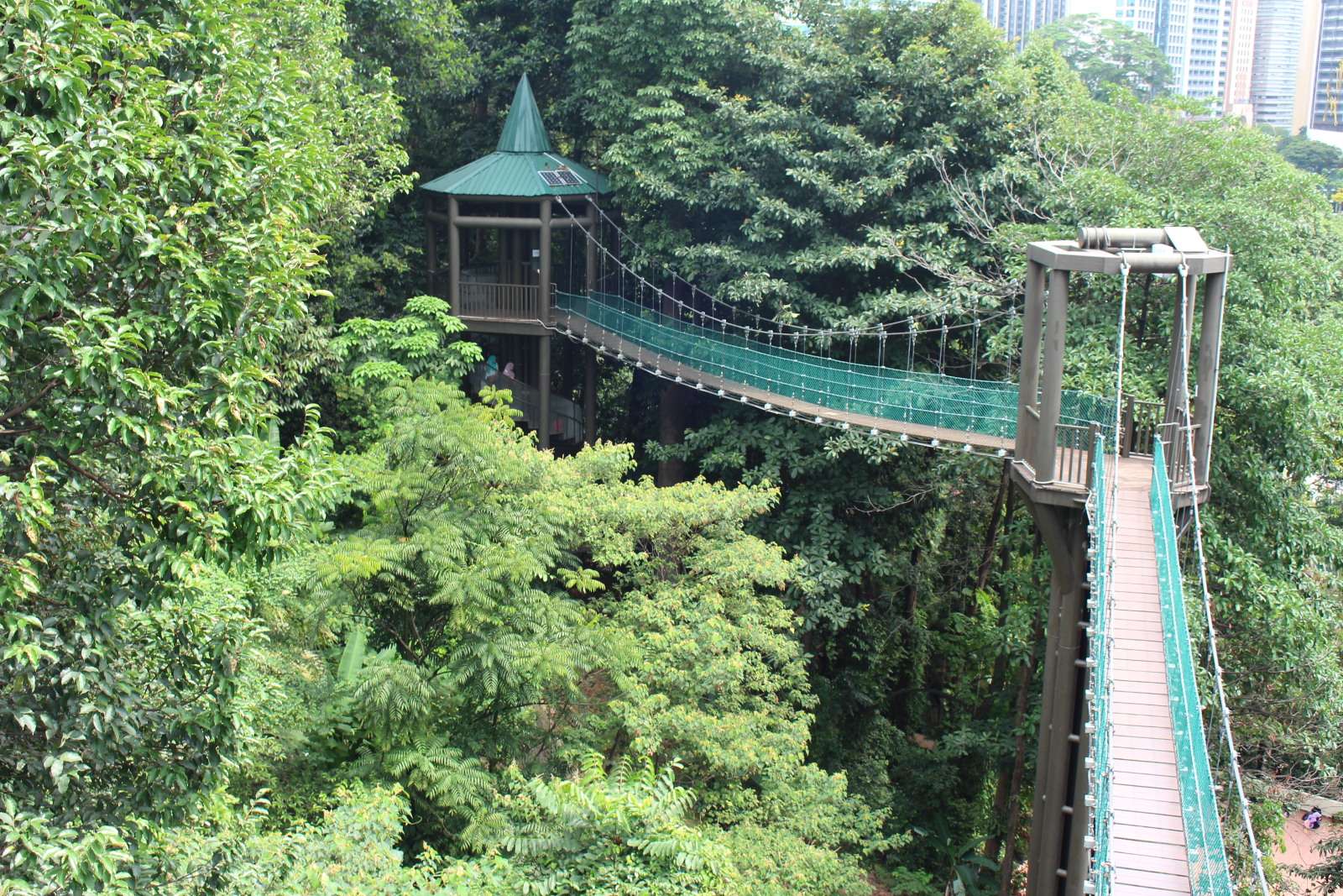 Explore KL Forest Eco Park