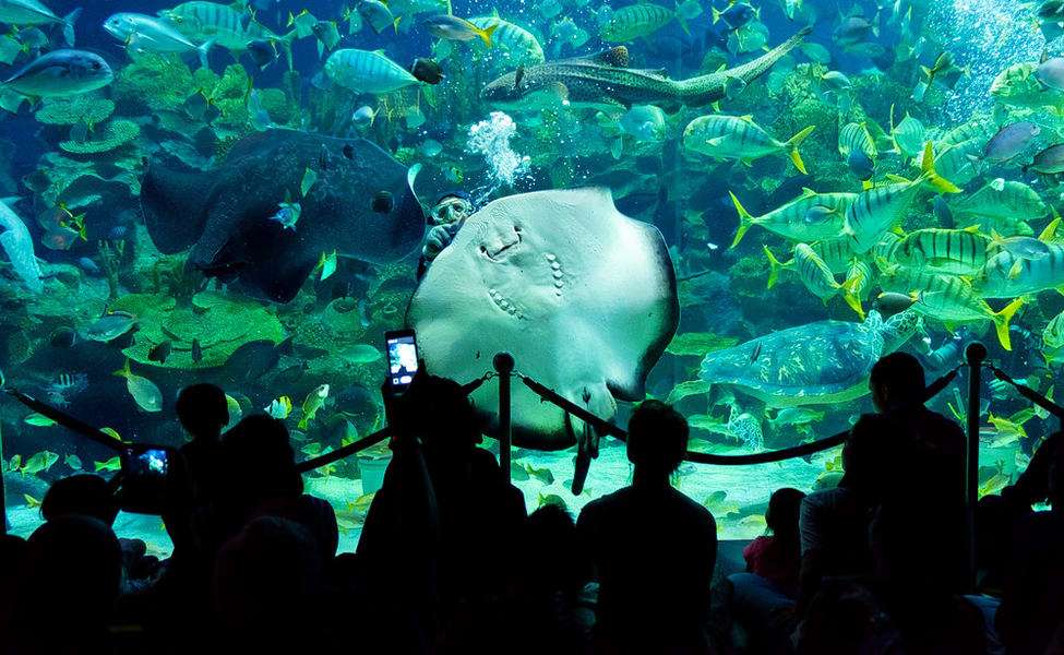 Aquaria KLCC