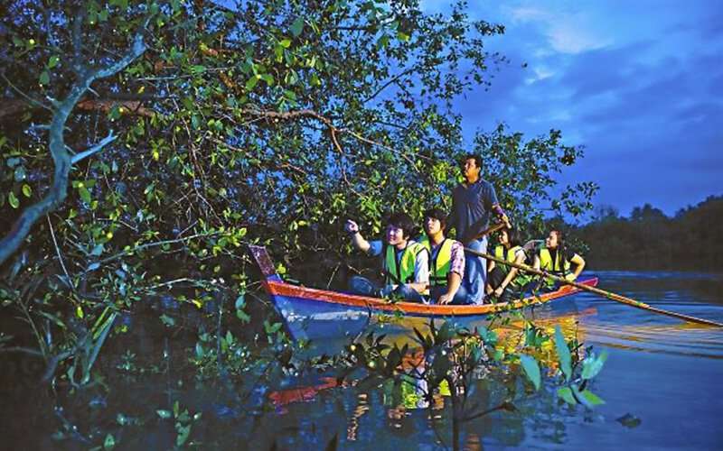 Fireflies Night Cruise