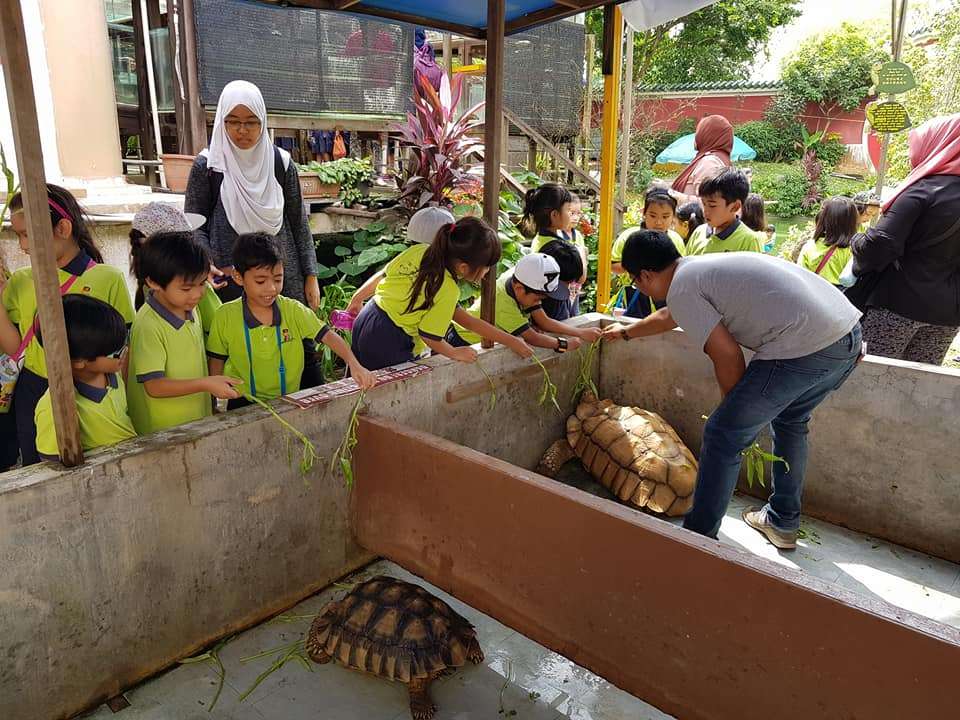 The Live Turtle and Tortoise Museum