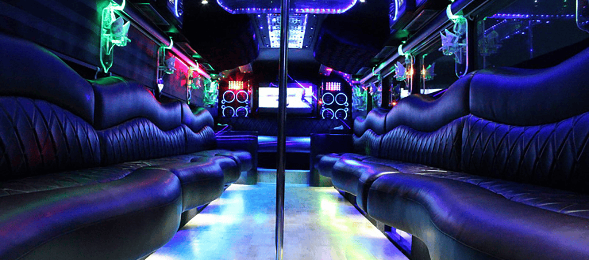 Party All Night on the Party Bus