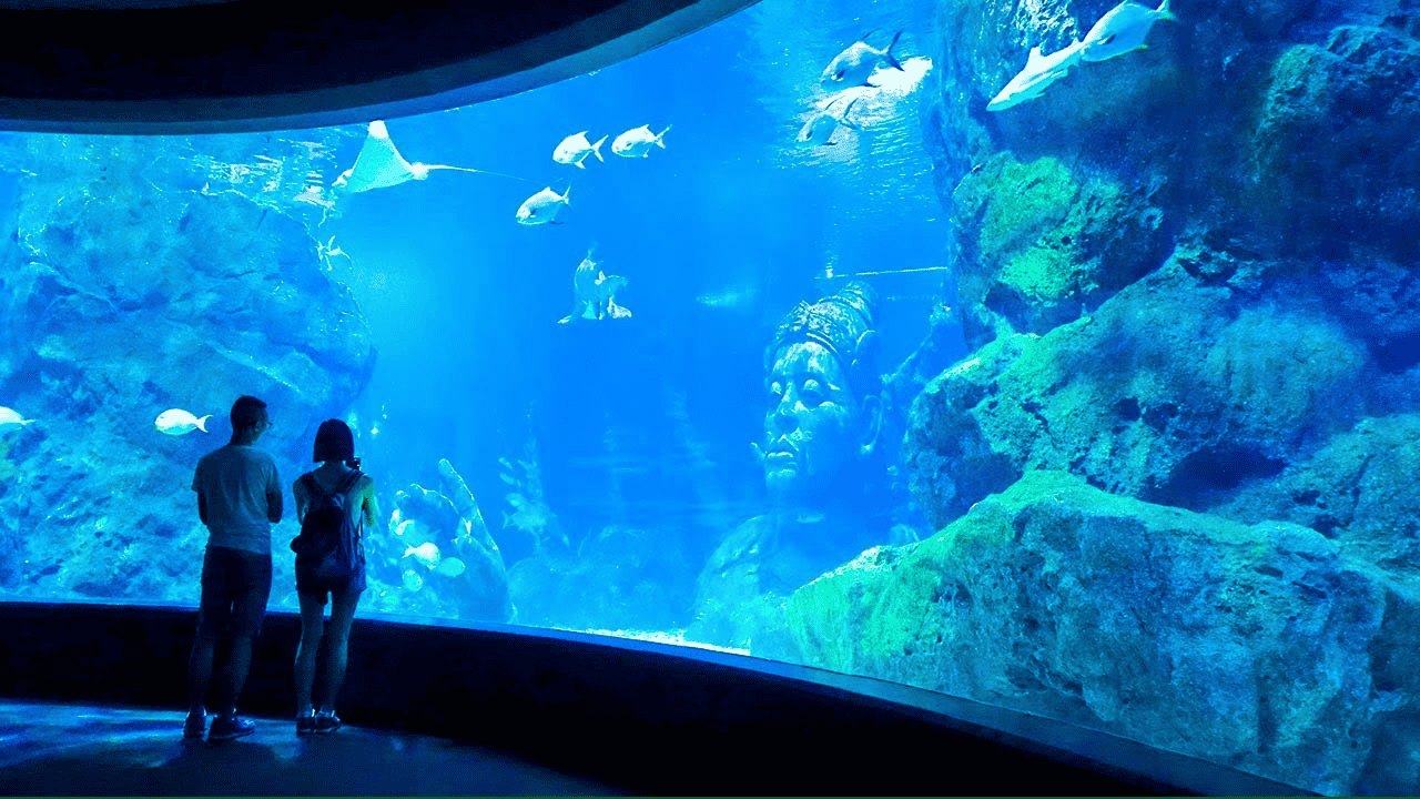 Experience the Marine Life at the Underwater World Pattaya