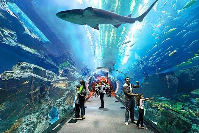 Watch the Marine Life at Underwater World Pattaya