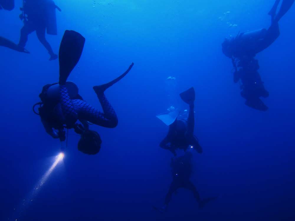 See the Ocean Down Deep at Night - Al Mahara Diving Center