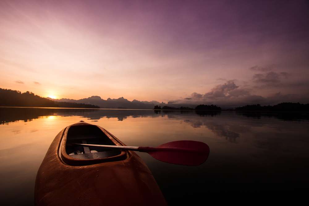 Night Tour of the Mangroves