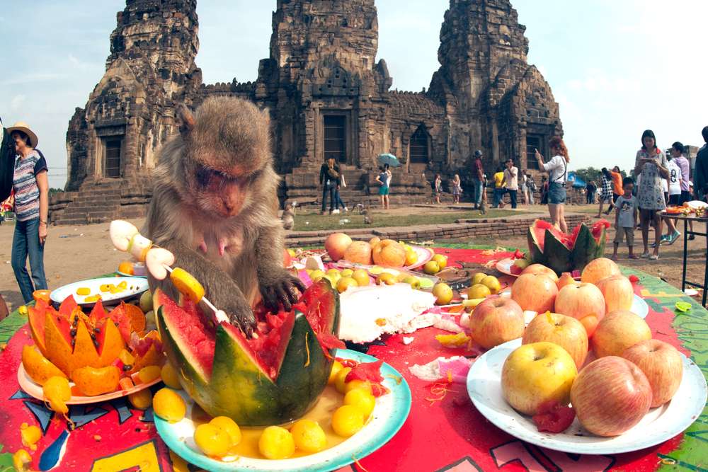 Lopburi Monkey Banquet