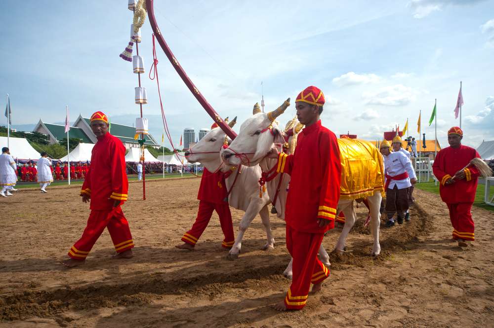 Royal Ploughing Ceremony