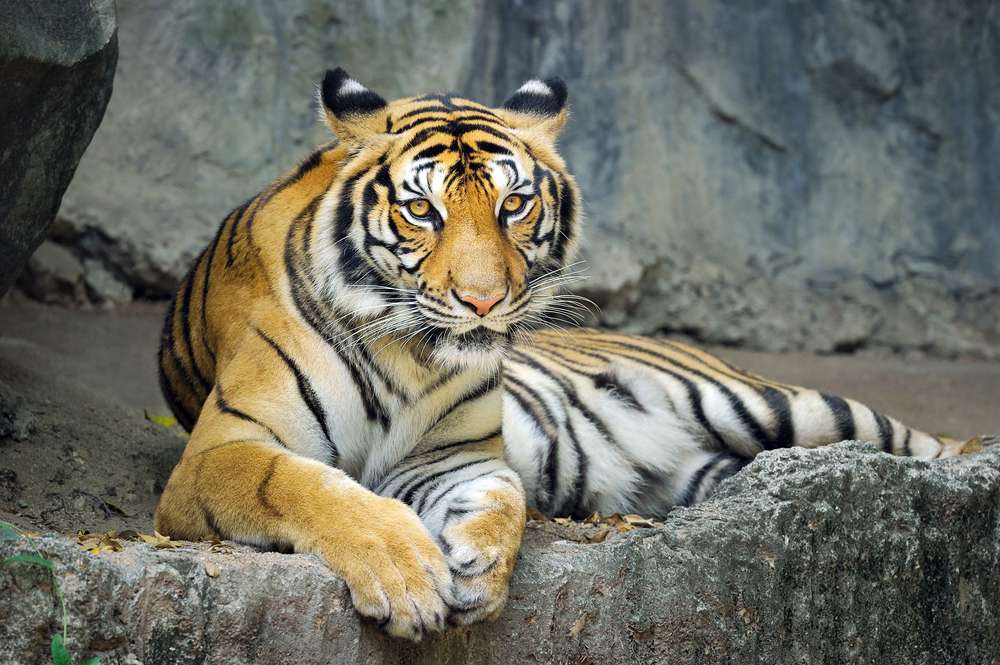 Si Lanna National Park