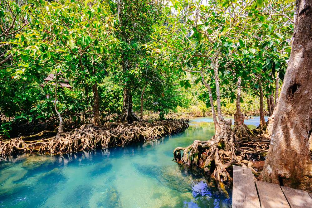 Tha Pom Khlong Song Nam