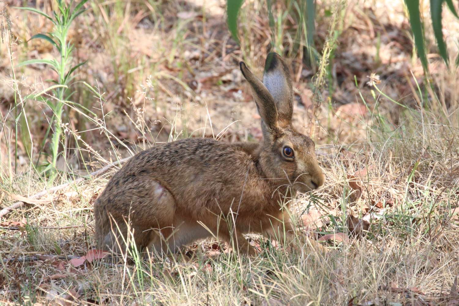 Thung Salaeng Luang National Park