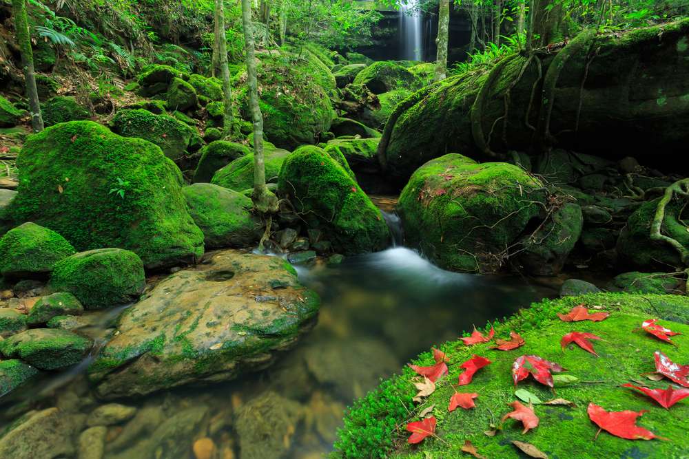 Phu Kradueng National Park