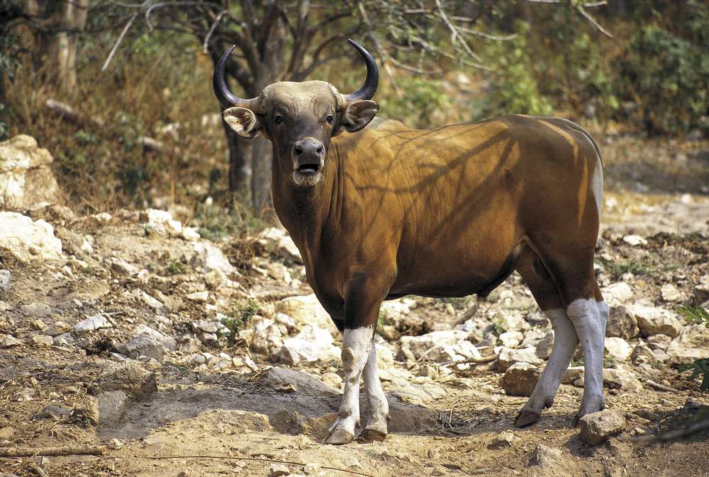  Khao Laem National Park