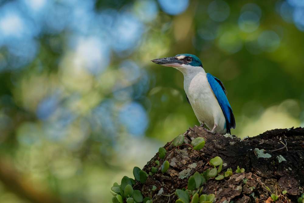 Sirinat National Park