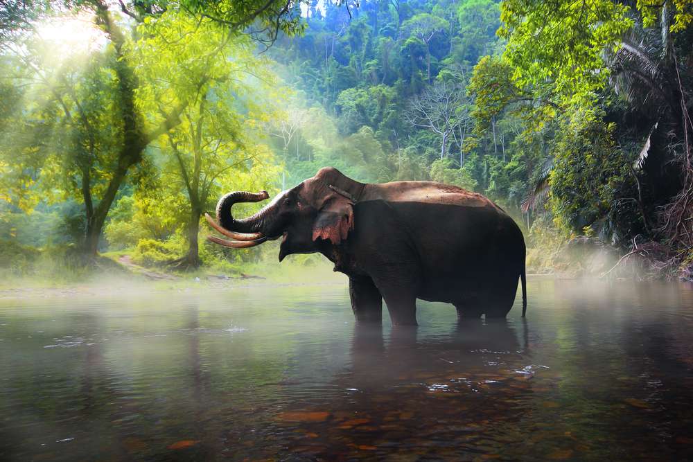 30 Best National Parks in Thailand - {{year}} (Photos & Reviews)