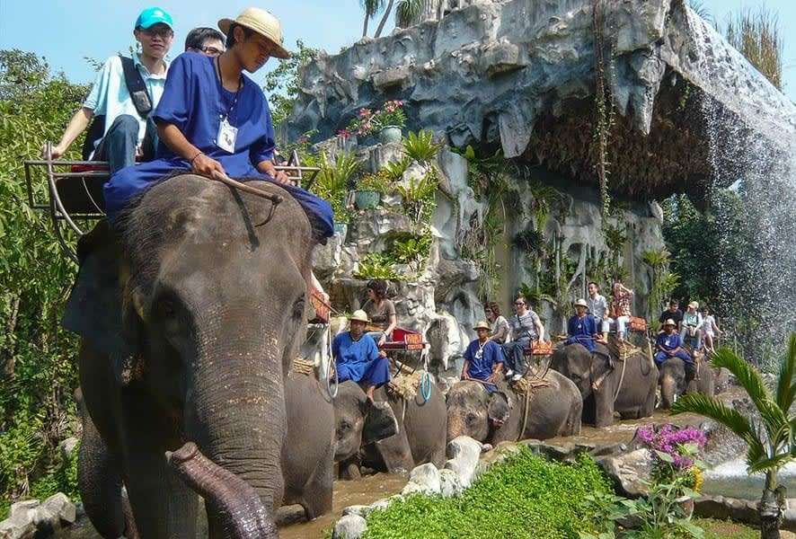 Enjoy an Elephant Show & Crocodile Farm